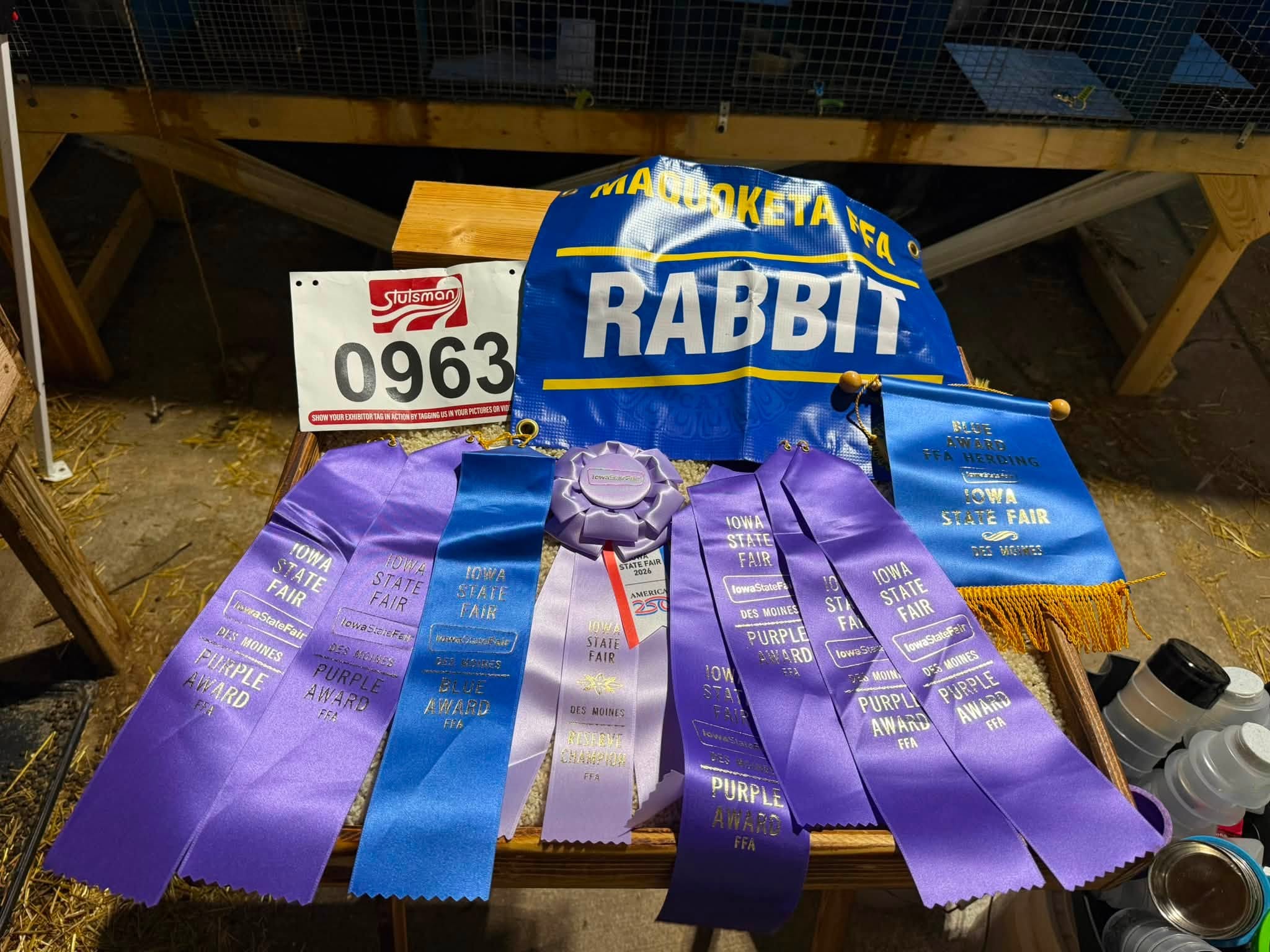 Purple, blue and white ribbons laid out next to a rabbit show sign.