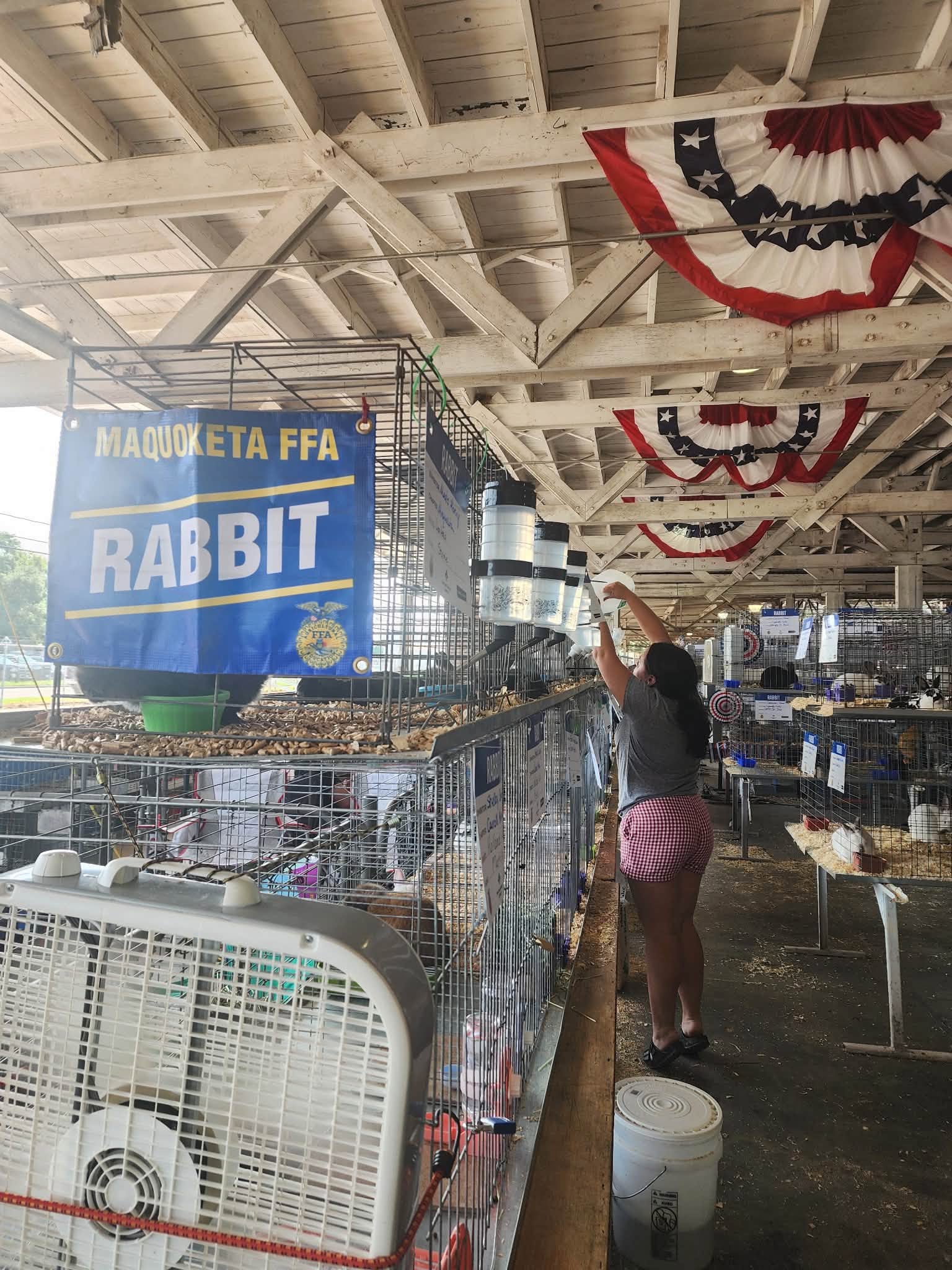 A Maquoketa FFA rabbit sign above rows of rabbit cages.
